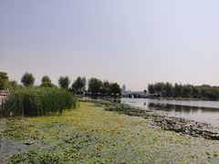 -长春市南湖公园