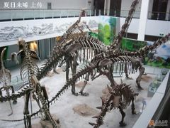 -中国地质大学逸夫博物馆
