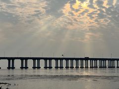 -宝安西湾红树林湿地公园