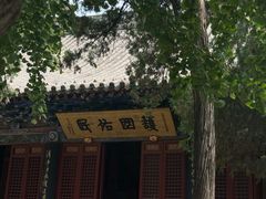 -洛阳白马寺