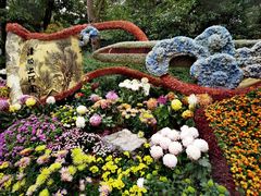 -杭州植物园