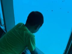 -亚龙湾海底世界