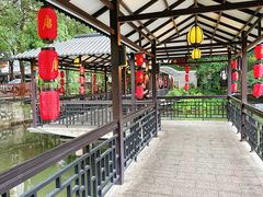 -侨美·唐荔园·40年地道粤菜