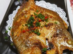 -九府羊·鲜羊火锅·烤串(新华路店)