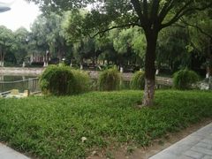 -沙市市中山公园