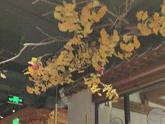 -小京华楼·京味斋(三元桥国展店)