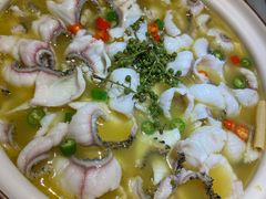 招牌青花椒-青花椒花椒鱼(新百店)