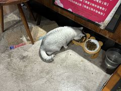 -木沐影咖(鑫乐汇购物广场店)
