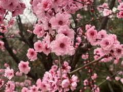 -北京鹫峰国家森林公园
