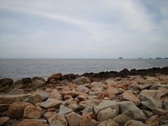 -野狸岛