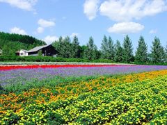 -富田农场