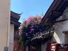 -小厨子私房菜·云南美食店