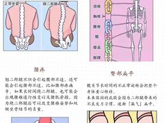 -体博士·疼痛调理·体态矫正·运动康复中心(大望路华贸店)