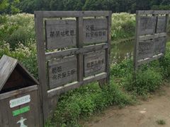-前小桔亲子创意农场·草莓采摘·露营烧烤