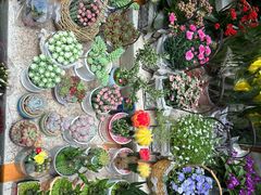 -循礼门鲜花花市(武汉循礼门店)