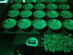 -江湖堂酒馆(内江东桐路店)