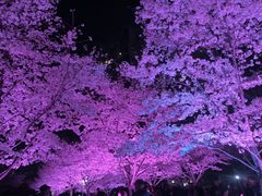 -西北湖绿化广场