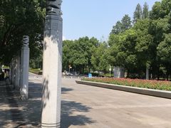 -武汉大学-樱园
