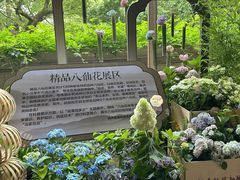 -城隍阁