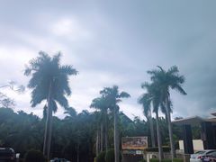 -三亚亚龙湾雅高铂尔曼别墅度假酒店