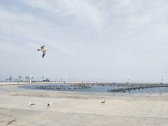 -东港音乐喷泉广场