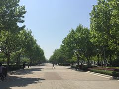 -东华大学(松江校区)