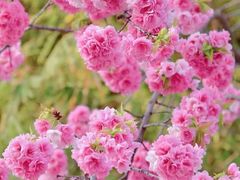 -北京科技大学-游泳馆