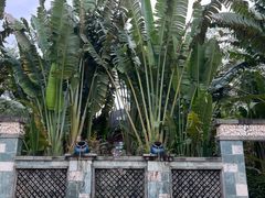 -碧桂园润杨溪谷温泉酒店