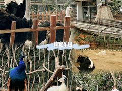 -呀路古热带植物园