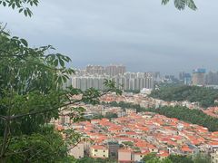 -顺峰山公园