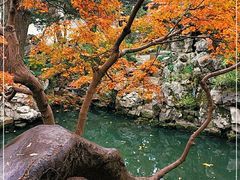 -苏州5D星空错觉艺术馆