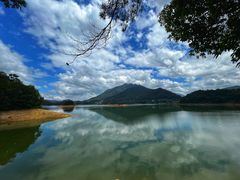 -广州市流溪河国家森林公园