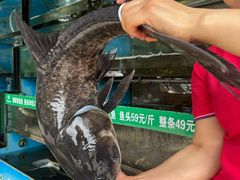 -好灶头妈妈菜·柴火灶台鱼·千岛湖土菜地标美食