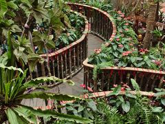 -正佳雨林生态植物园