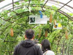 -中国天府农业博览园