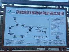 -大岭沟猕猴桃谷风景区