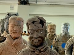 -秦始皇帝陵博物院-丽山园