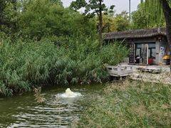 -碑林公园