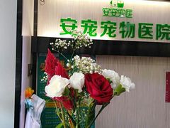 -安安宠医宠物医院·异宠·犬猫内科(岳阳分院)