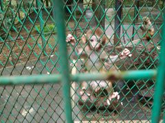 -藏龙百瀑风景区