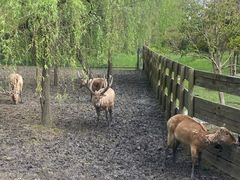 -溱湖国家湿地公园