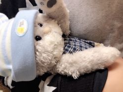 -宝大祥青少年儿童购物中心(普陀中环店)