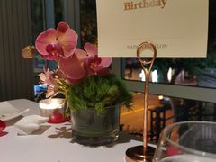 -蝶舍·MAISON PAPILLON