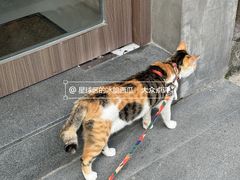 -Again Coffee Roaster(香蜜湖店)