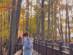 -东湖落雁景区