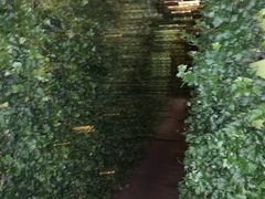 -顶层酒吧ROOF(上海艾迪逊酒店)