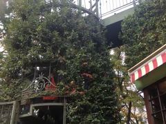 -三鹰之森吉卜力美术馆