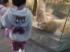 -昆明大悦城未来动物城(螺蛳湾中心店)