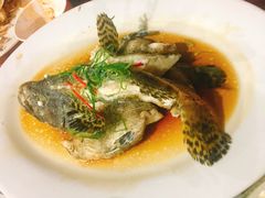 -海盗餐厅