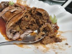 -丁老爷子苏香圆